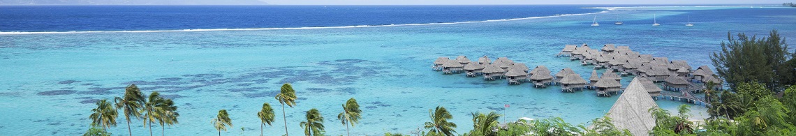 French bee vidéo youtube