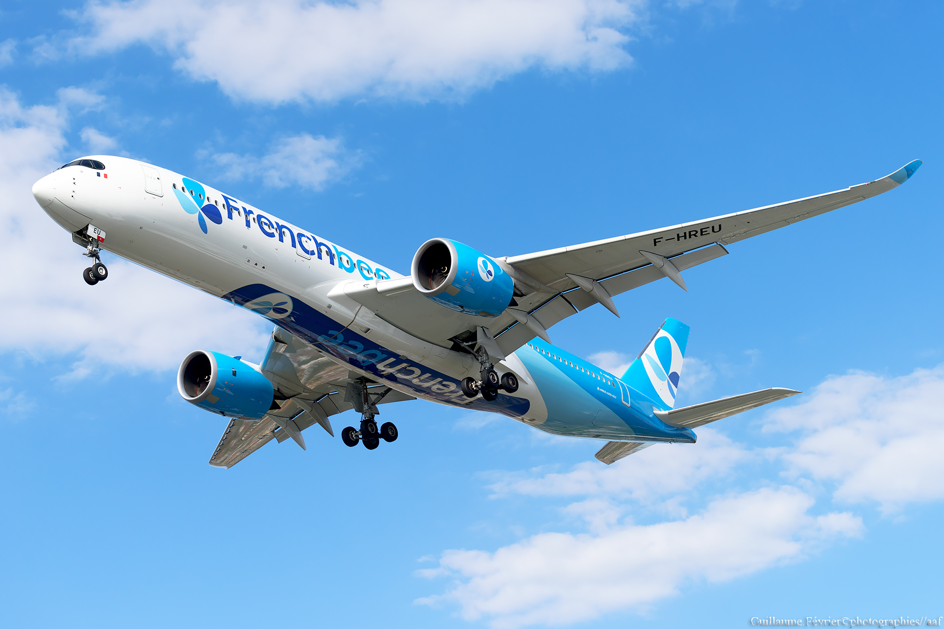 A350 French bee