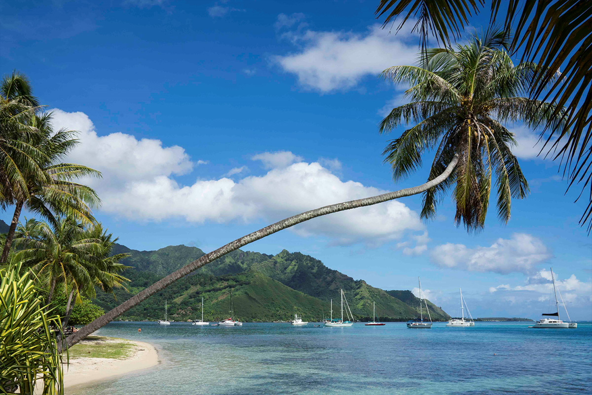Tahiti et ses iles