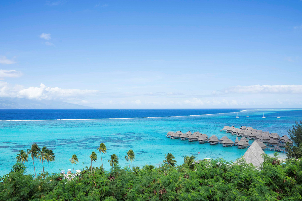 Tahiti with French bee