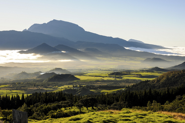 Meilleure saison La Réunion