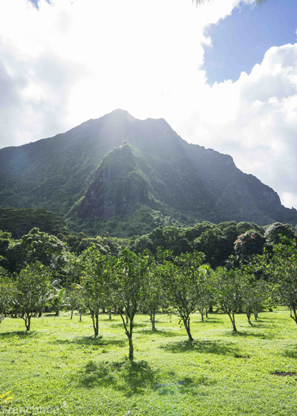 Meilleure saison Tahiti