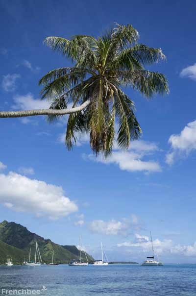 Vol Marseille - Tahiti