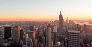 new york french bee