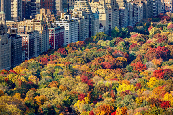 Visite de Manhattan