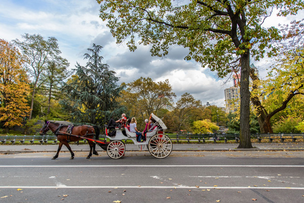 Les moyens de transports à New-York