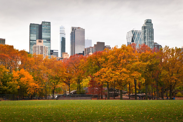 Vol Nantes - New York