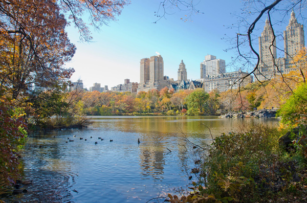 Vol Reims - New York