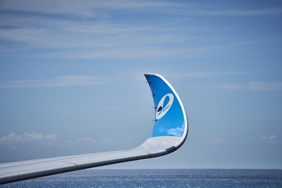 A350 winglet