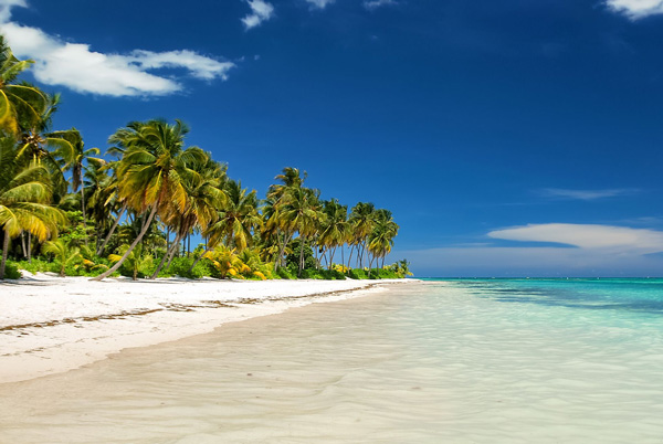 Billet d'avion Reims - Punta Cana