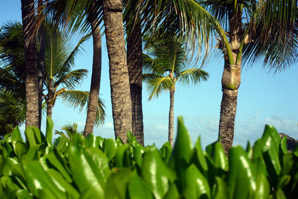 Vol Poitiers - Punta Cana
