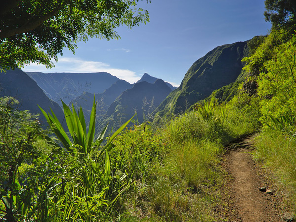 Inscription au Grand Raid à La Réunion