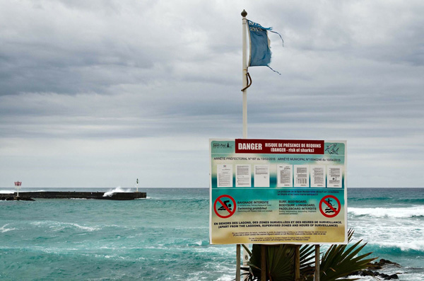 Alerte Requin à La Réunion