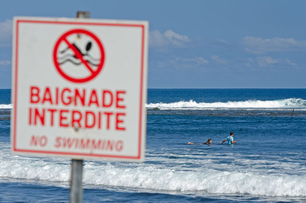 Risque requin à La Réunion