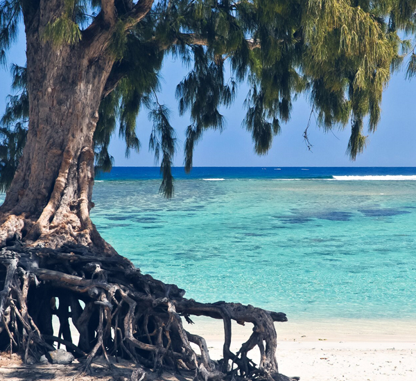 Voyage Lyon La Réunion