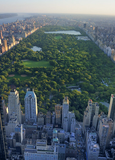 vol lyon new york