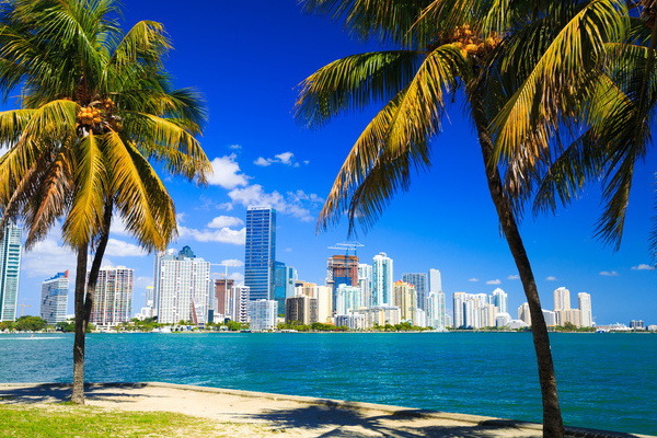 Paris - Miami 
