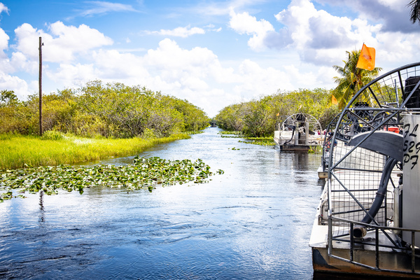  visiter les Everglades