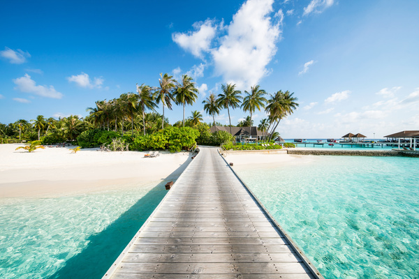 NY to Tahiti 
