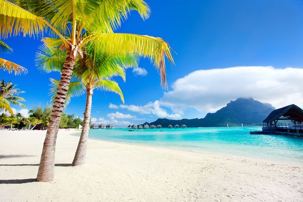 San Diego to Tahiti