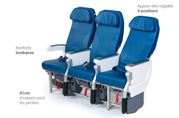 Classe Economique French bee