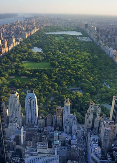 Best Offer flight Paris New York