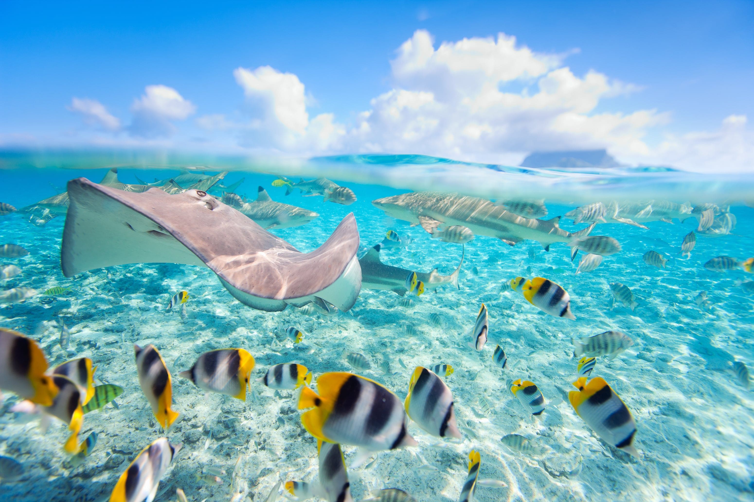 billet avion bora bora
