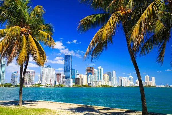 Miami 