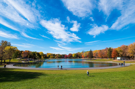 activités à montréal