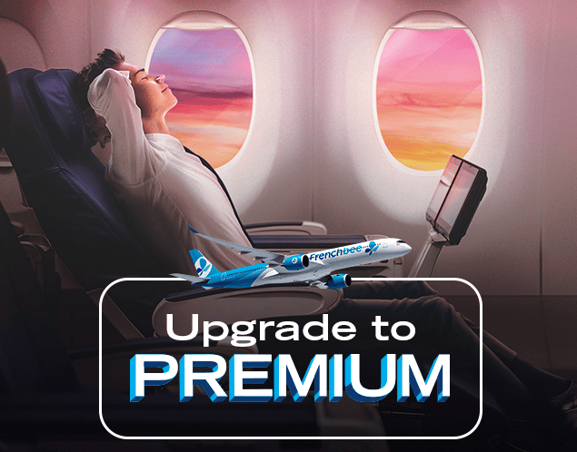 Premium class french bee
