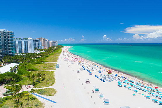 Miami avec French bee