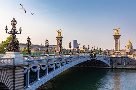Paris with French bee