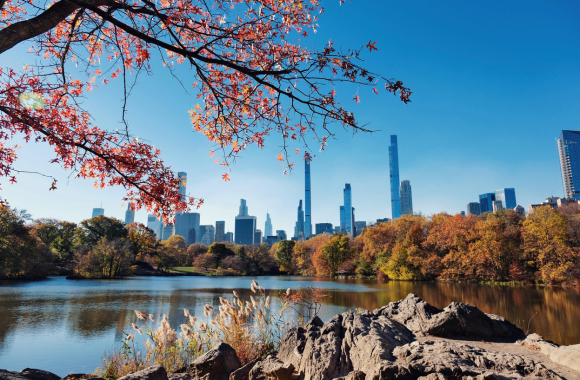 central park