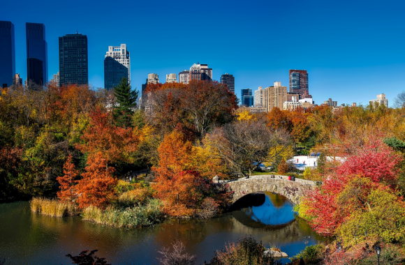 central park