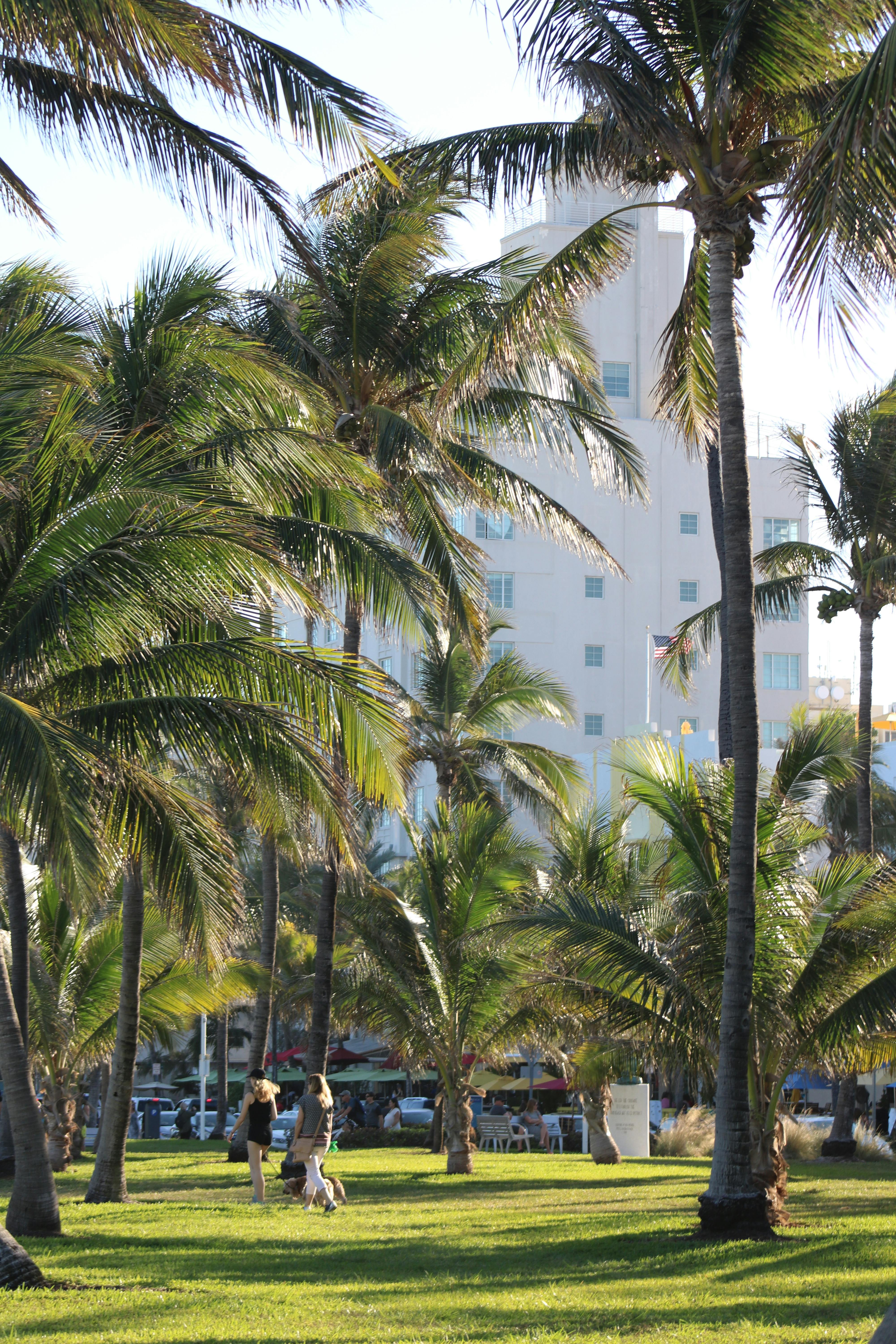 Miami