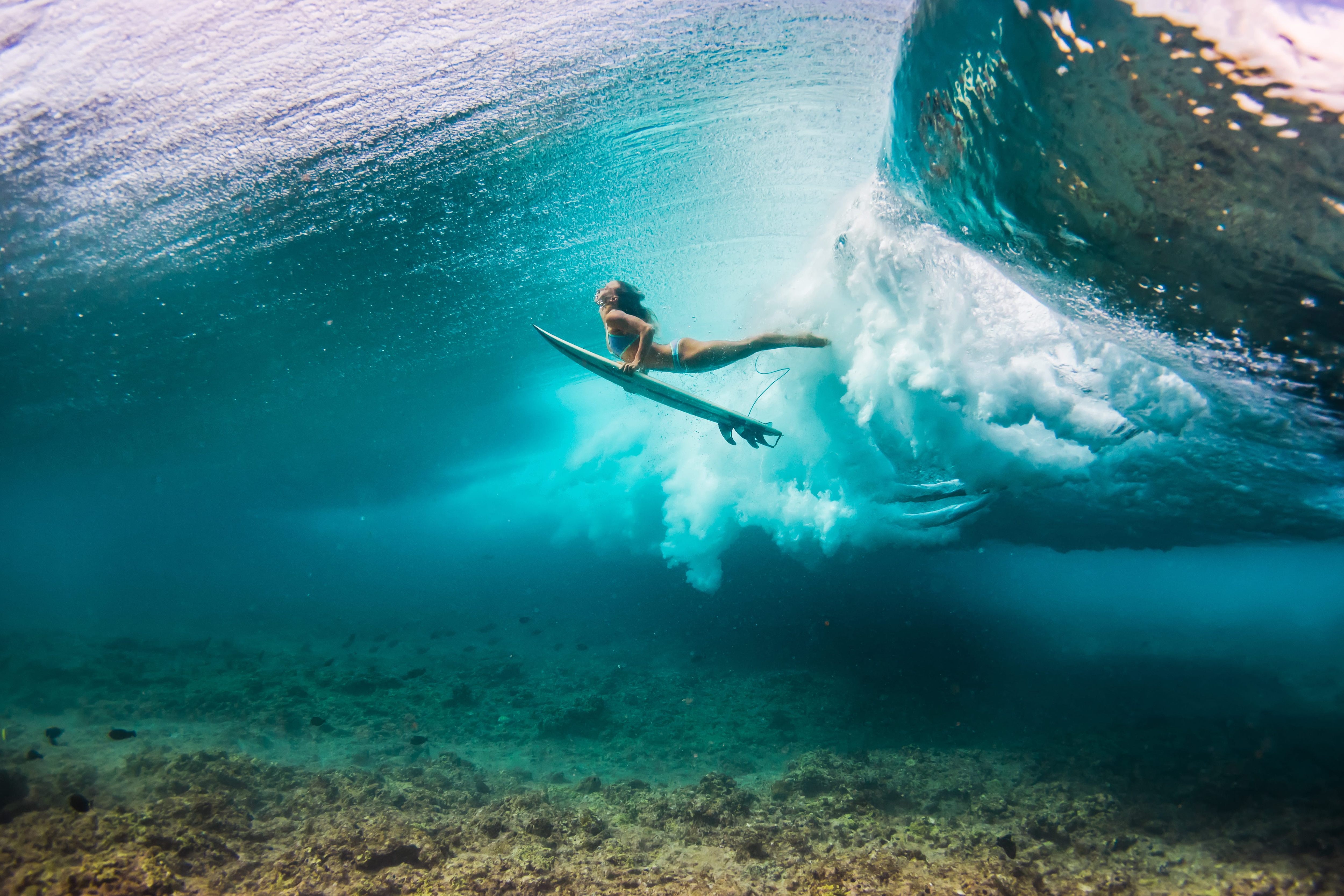 Le surf aux Maldives
