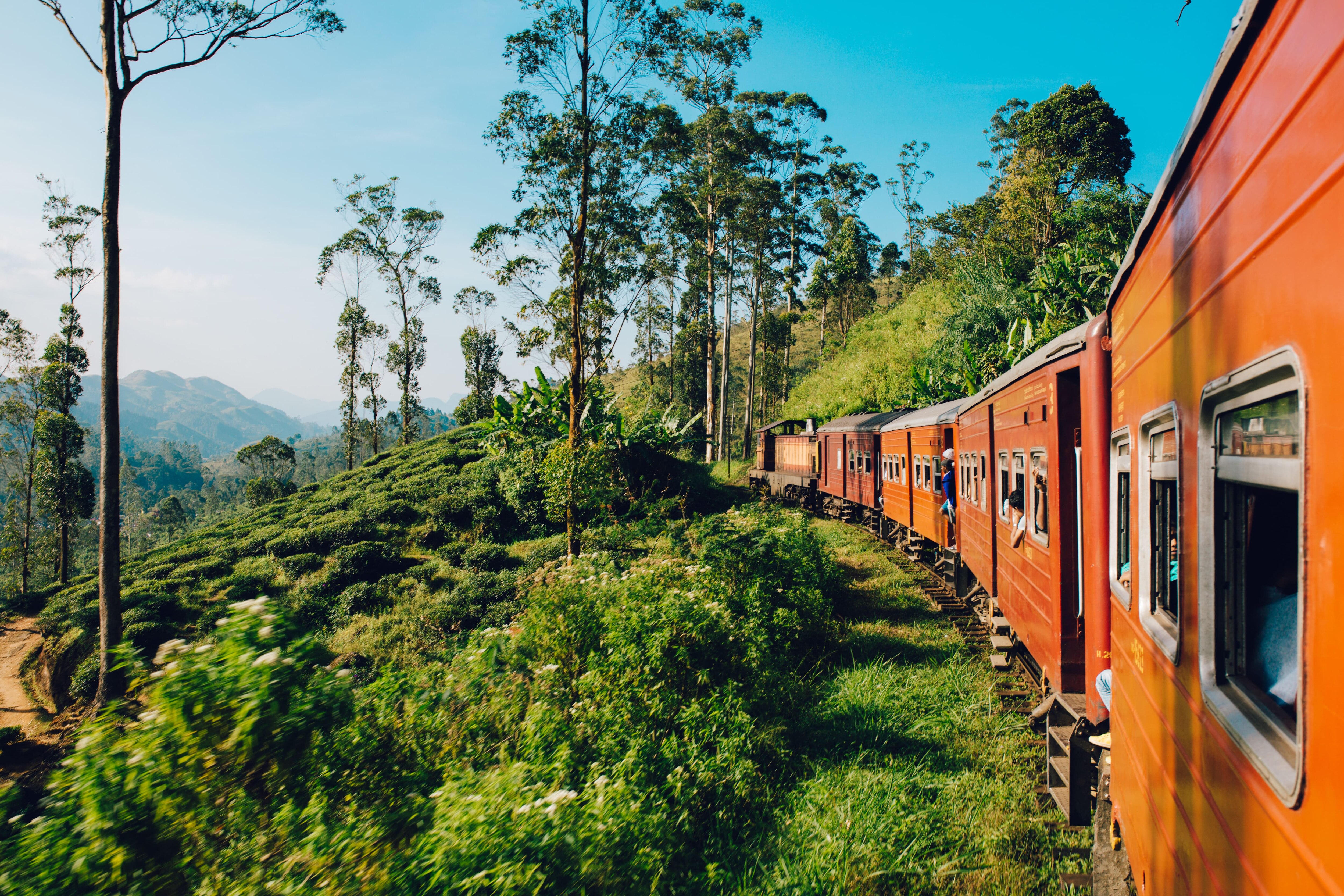 train orange