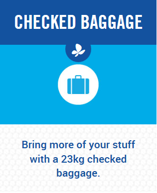 Checked bag